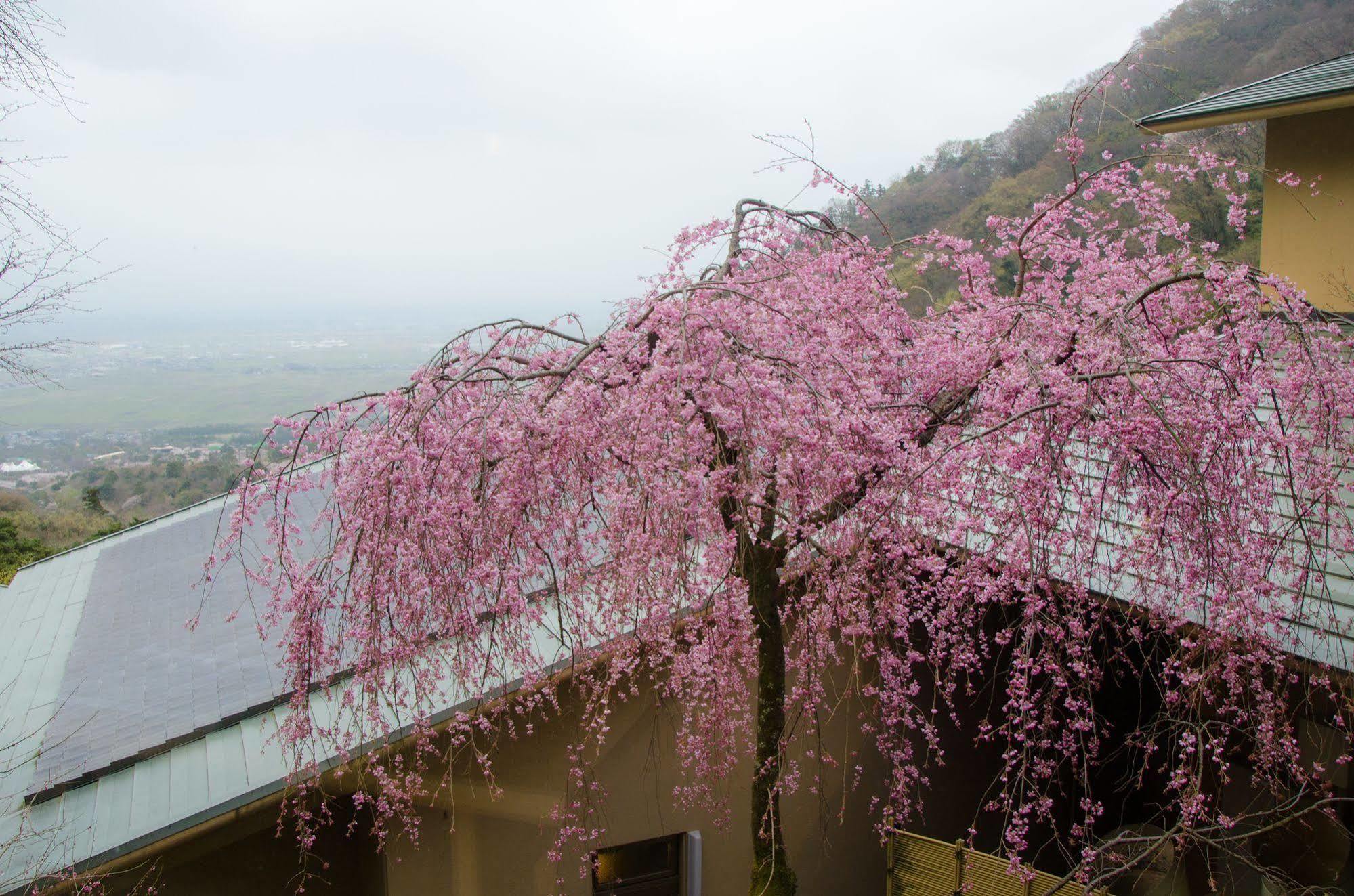 Takimotokan Yuki No Sato Yoro  Exterior photo